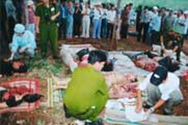 Bi kịch từ chuyến xe định mệnh 