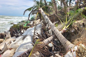 Bờ sông, bờ biển sạt lở nặng, Đà Nẵng công bố tình huống thiên tai khẩn cấp