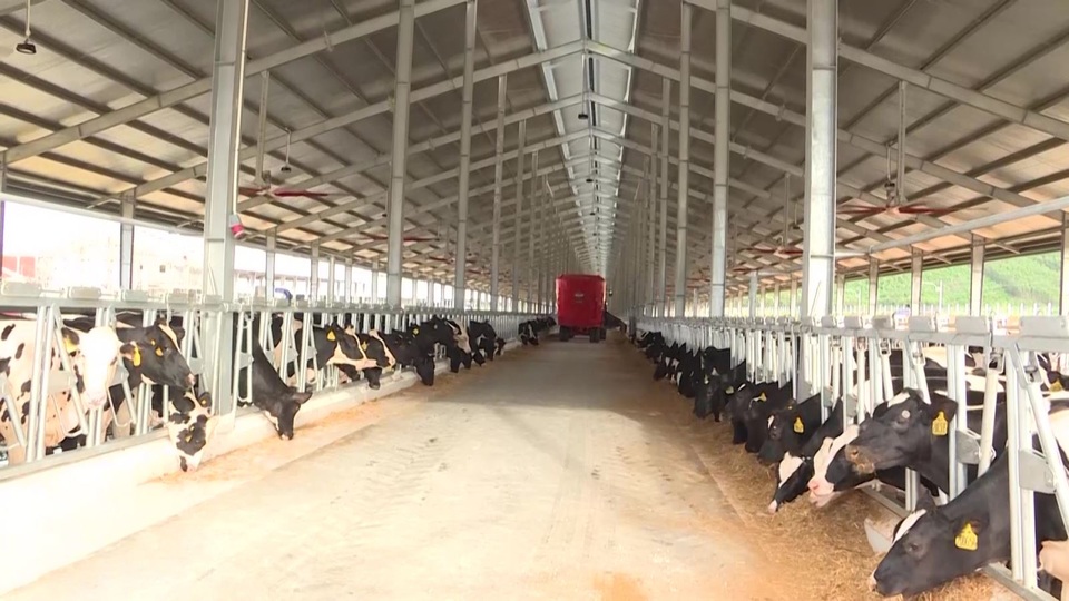 Tỉnh Quảng Ngãi sẽ “xử lý” nếu dự án Vinamilk chậm tiến độ - 1 Tỉnh Quảng Ngãi sẽ “xử lý” nếu dự án Vinamilk chậm tiến độ - 1