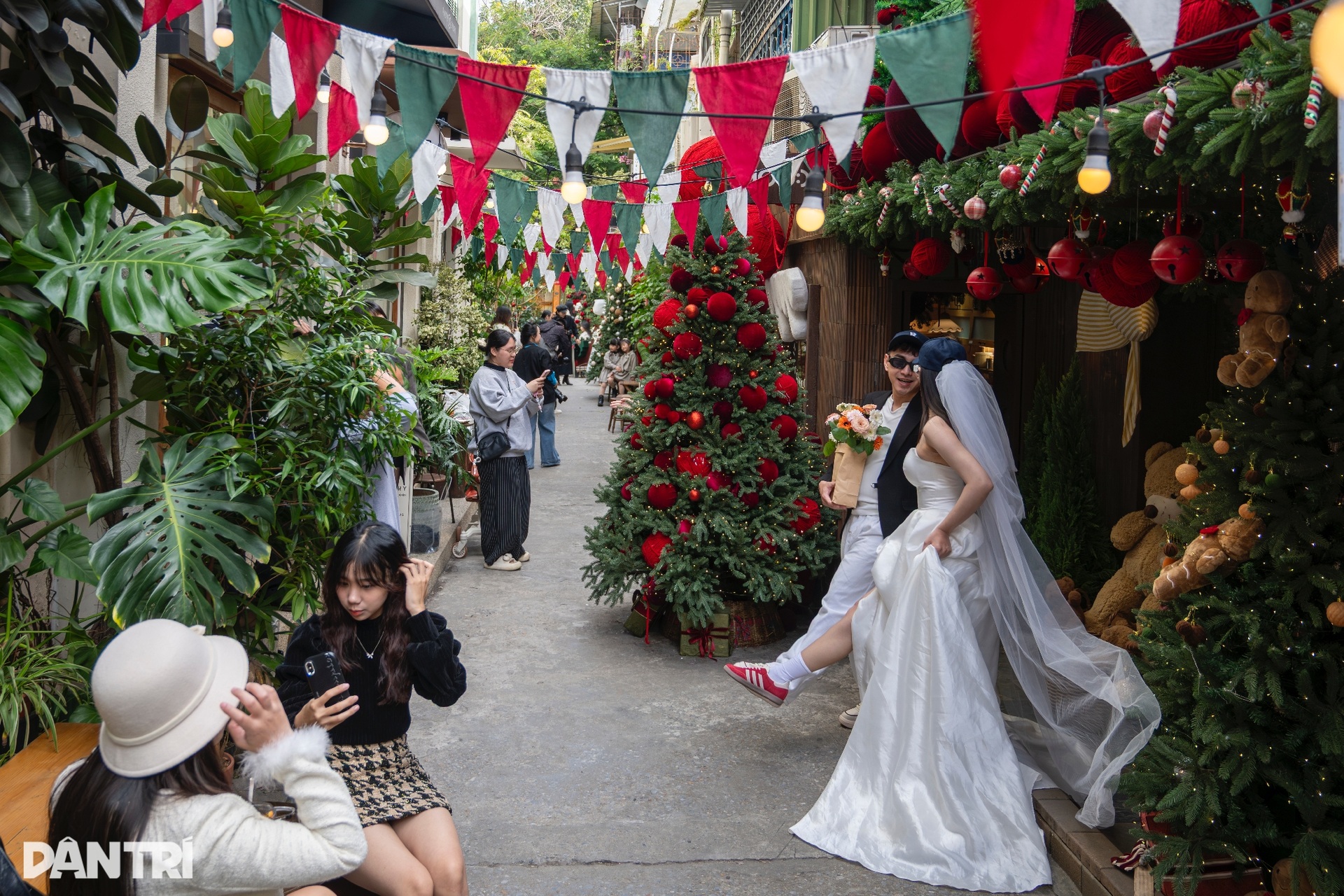 Con ngõ 100m ở Hà Nội lung linh ánh đèn, rộn ràng không khí Giáng sinh - 1