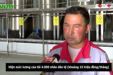 Mãn nhãn cánh đồng hoa hồng, dâu tây chín mọng…  giữa sa mạc cằn cỗi