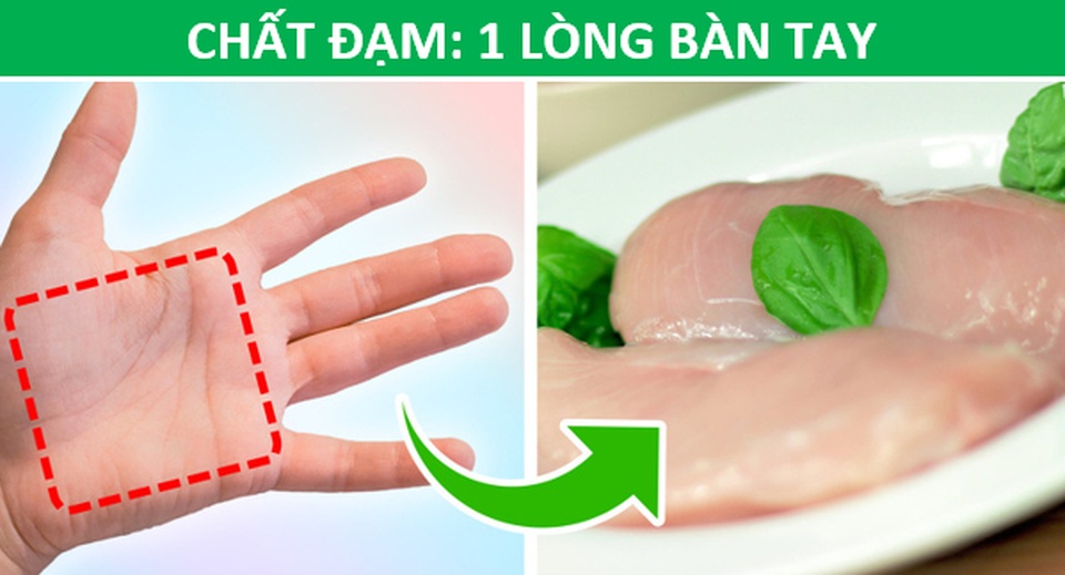 Mẹo hay: Xác định lượng thức ăn phù hợp với cơ thể chỉ bằng…bàn tay - 2 Mẹo hay: Xác định lượng thức ăn phù hợp với cơ thể chỉ bằng…bàn tay - 2