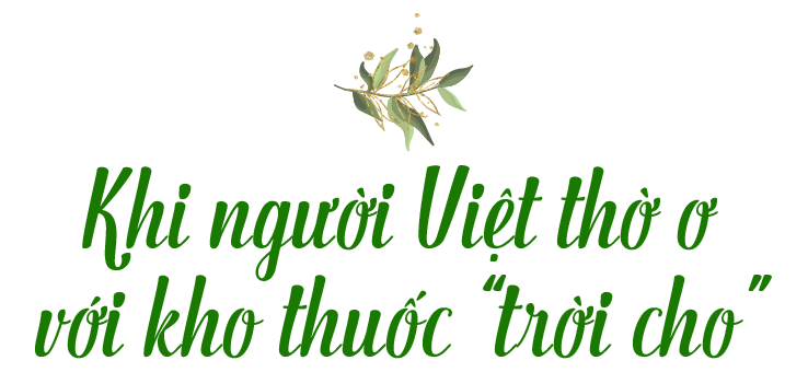 Hành trình 17 năm nâng tầm kho thuốc trời cho của người Việt - 1 Hành trình 17 năm nâng tầm kho thuốc trời cho của người Việt - 1