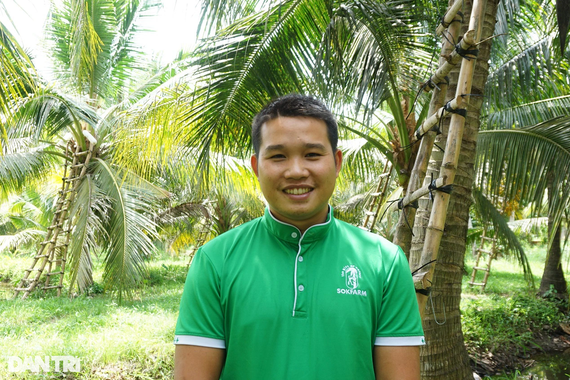 Giảng viên nghỉ việc về trồng dừa lấy mật, mỗi năm thu hơn 10 tỷ đồng - 4 Giảng viên nghỉ việc về trồng dừa lấy mật, mỗi năm thu hơn 10 tỷ đồng - 4