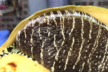 Con ốc lạ nửa triệu đồng/kg vẫn đắt hàng; Trứng gà rẻ như cho, người chăn nuôi phá sản