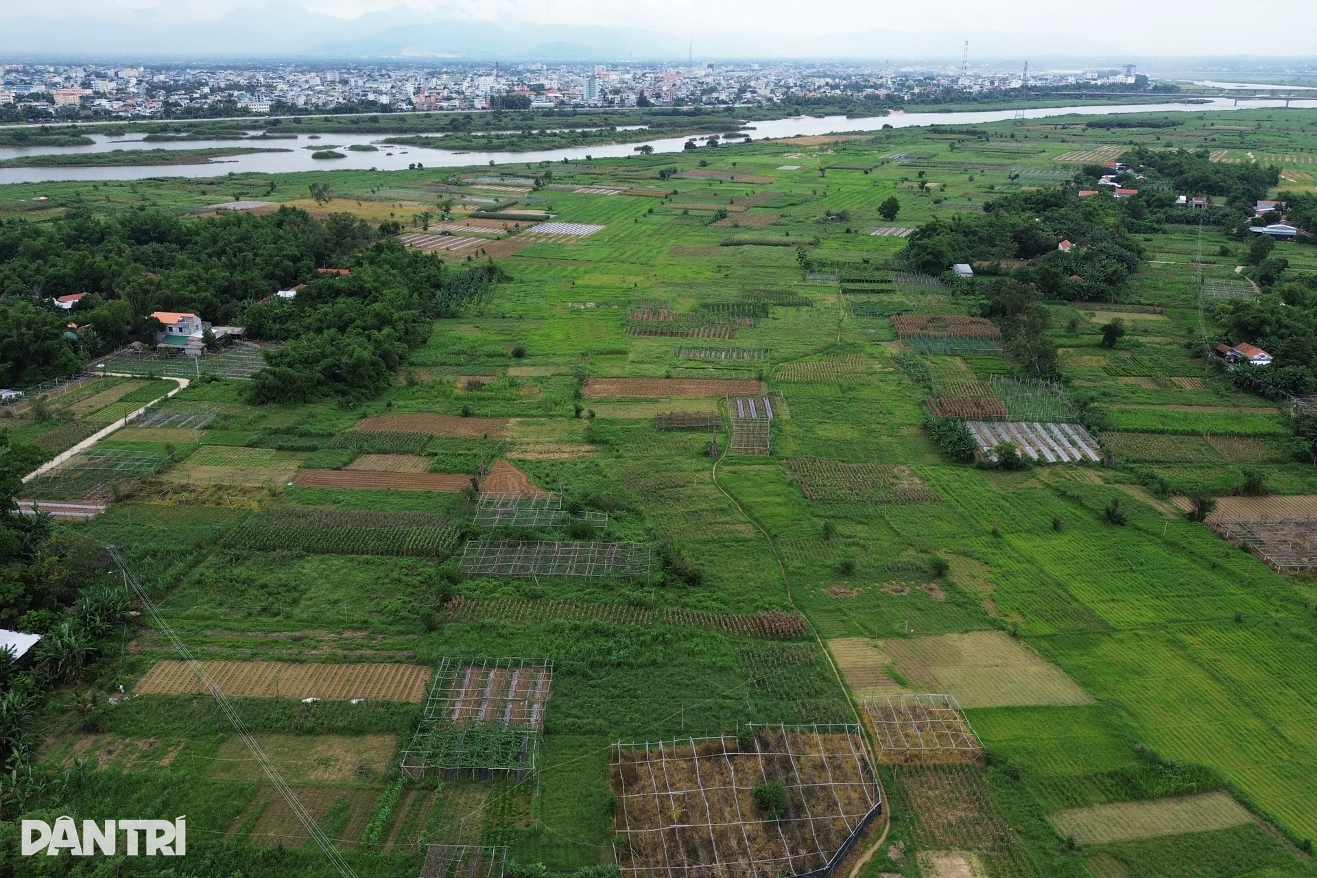 Đất đảo Ngọc ở Quảng Ngãi được tách thửa ồ ạt, chủ tịch tỉnh cũng bất ngờ - 6 Đất đảo Ngọc ở Quảng Ngãi được tách thửa ồ ạt, chủ tịch tỉnh cũng bất ngờ - 6