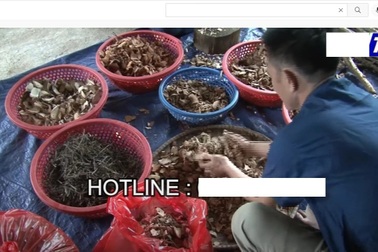 Cụ ông 85 tuổi 3 lần nhập viện vì đam mê mua "thuốc tiên" trên mạng