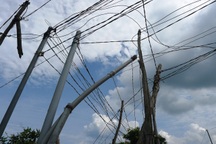 Ra thăm ruộng, chủ tịch xã bị điện giật tử vong