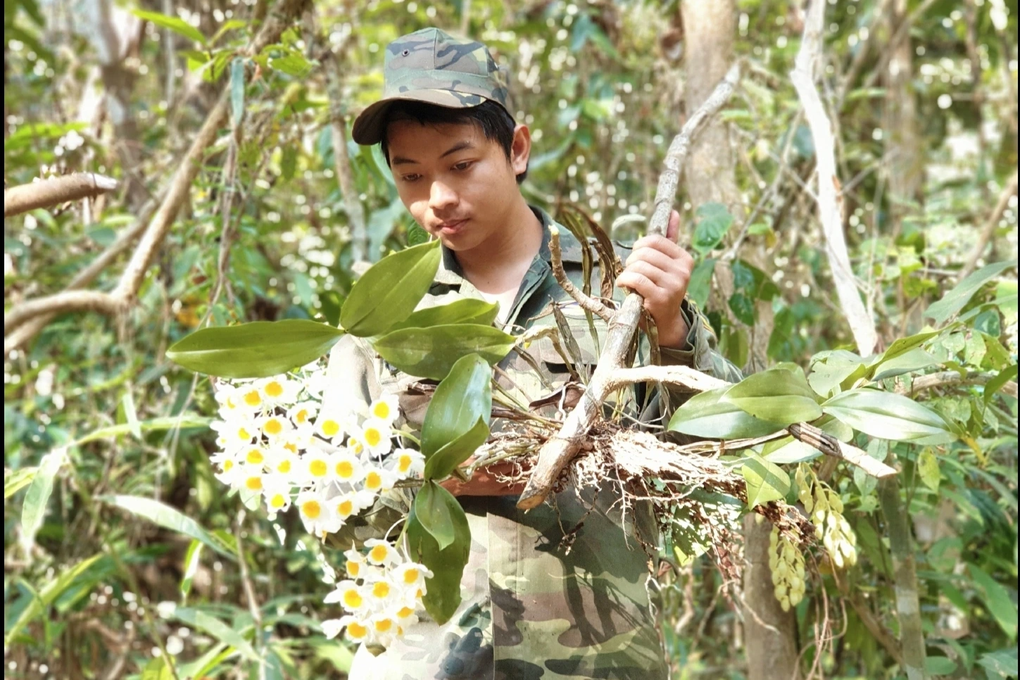 Hiểm nguy nghề băng rừng săn địa lan, mật ong, nấm linh chi - 4 Hiểm nguy nghề băng rừng săn địa lan, mật ong, nấm linh chi - 4