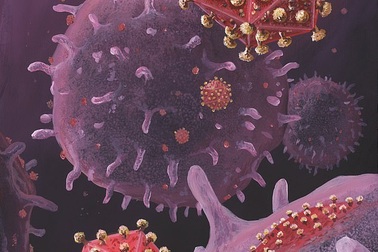 Thêm 1 bệnh nhân có HIV khỏi bệnh