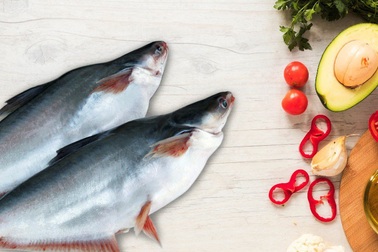 Dầu ăn 100% từ cá - Sản phẩm chất lượng cho người Việt