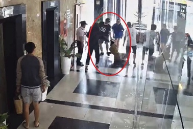 Khởi tố hoa khôi đại học ở TPHCM đánh ghen giùm bạn