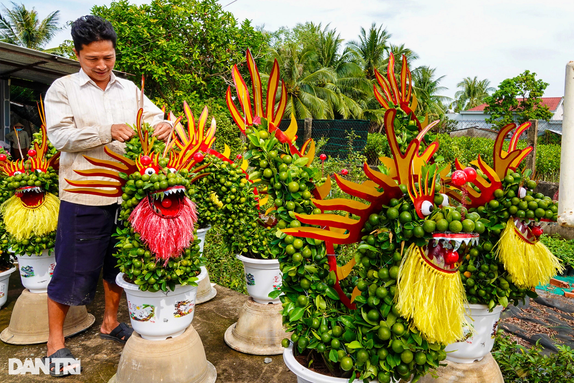 Making dragon mascots from kumquats and ornamental flowers, farmers sell one to make millions - 3