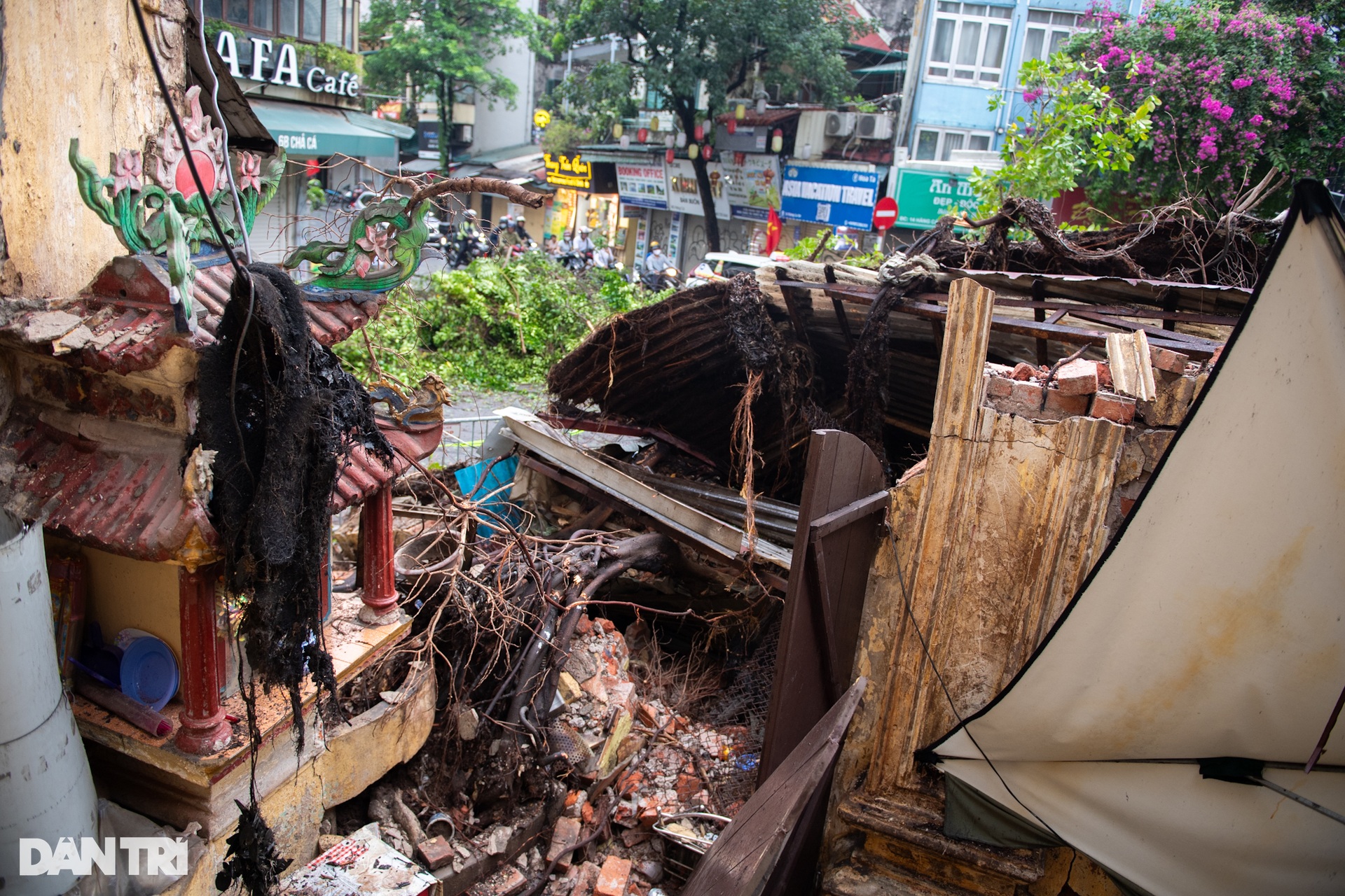 Cây xanh đè sập tường nhà phố cổ, người dân kể phút bò ra ngoài thoát chết - 4 Cây xanh đè sập tường nhà phố cổ, người dân kể phút bò ra ngoài thoát chết - 4
