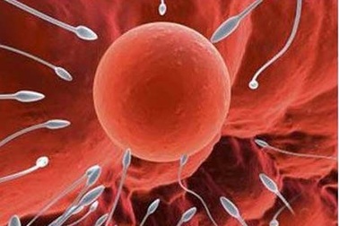 Tín hiệu nam giới sẽ vô sinh