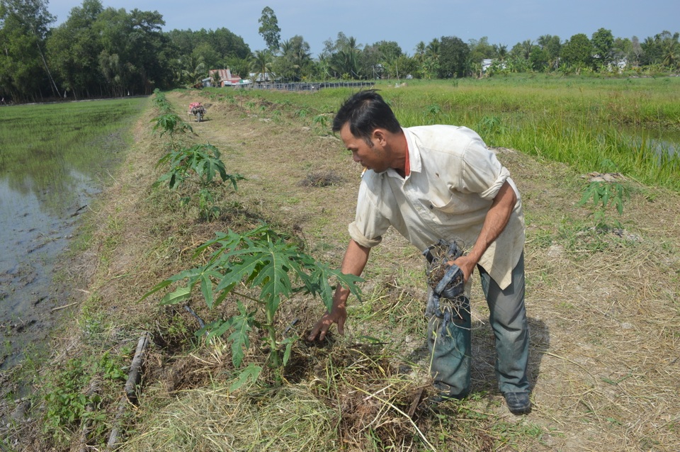 Mô hình sản xuất khép kín mỗi năm bỏ túi vài trăm triệu đồng của cựu binh - 5 Mô hình sản xuất khép kín mỗi năm bỏ túi vài trăm triệu đồng của cựu binh - 5