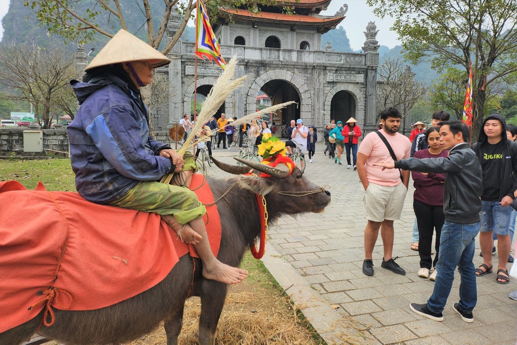Nghề độc lạ giúp vợ chồng 80 tuổi sống khỏe, chưa cần nhờ con cháu - 2 Nghề độc lạ giúp vợ chồng 80 tuổi sống khỏe, chưa cần nhờ con cháu - 2