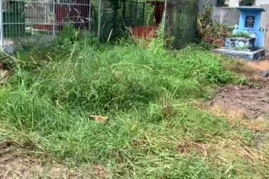 Người đàn ông tử vong bất thường trong nghĩa trang ở TPHCM