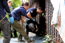 Gấu ngựa 91kg được nuôi như thú cưng ở Sơn La