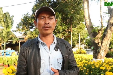 Người bán hoa ở Hội An chia sẻ về hoa “ế