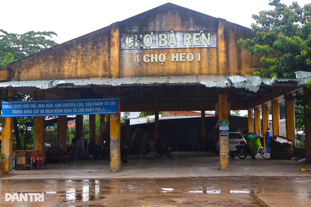 Cảnh lạ mắt tại chợ bồng heo nổi tiếng miền Trung - 1 Cảnh lạ mắt tại chợ bồng heo nổi tiếng miền Trung - 1