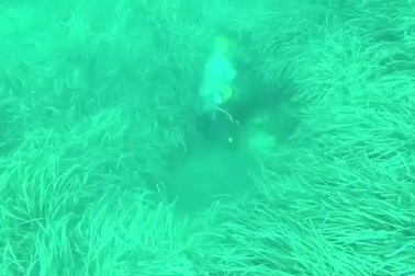 Tìm thấy một thành phố La Mã bị sóng thần phá hủy năm 365 sau Công Nguyên