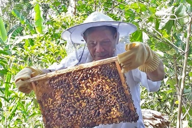 Hà Tĩnh: Vinh danh hơn 900 gương điển hình về học tập và làm theo lời Bác