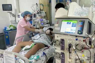 TPHCM: Bé gái nằm viện 3 tháng, lọc máu 10 đợt vì biến chứng sốt xuất huyết