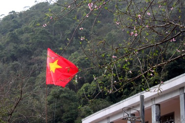 Cụ ông xin rút hộ nghèo, chuyện đàn dê đi lạc và bàn cân lòng tự trọng