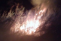 Đã khống chế hoàn toàn vụ cháy rừng ở U Minh Thượng