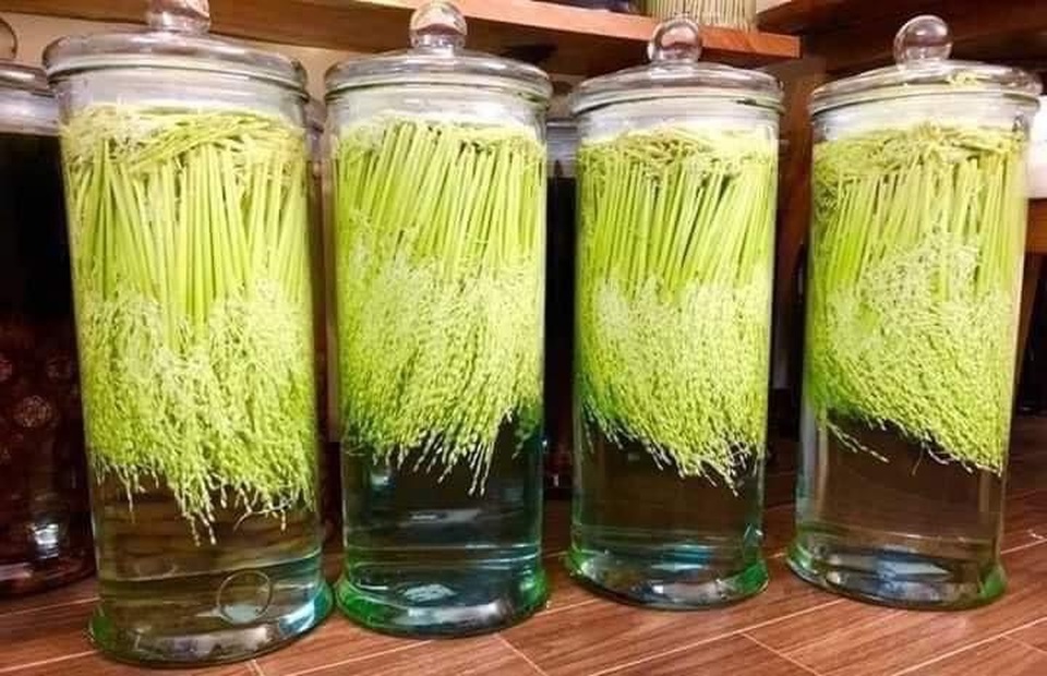 Rộ mốt săn lùng đòng đòng tươi, dân buôn bán mỗi ngày cả tạ - 3 Rộ mốt săn lùng đòng đòng tươi, dân buôn bán mỗi ngày cả tạ - 3
