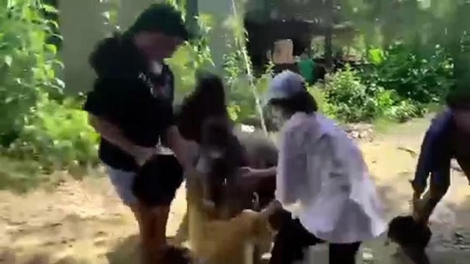 Nữ sinh ở Đồng Nai bị đánh hội đồng. (Ảnh cắt từ clip)