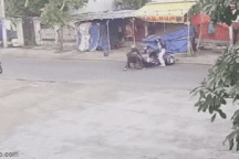 Nữ sinh "hạ gục" 2 tên cướp trên đường đi học