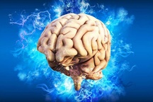 Tìm thấy "tế bào thời gian" trong não người