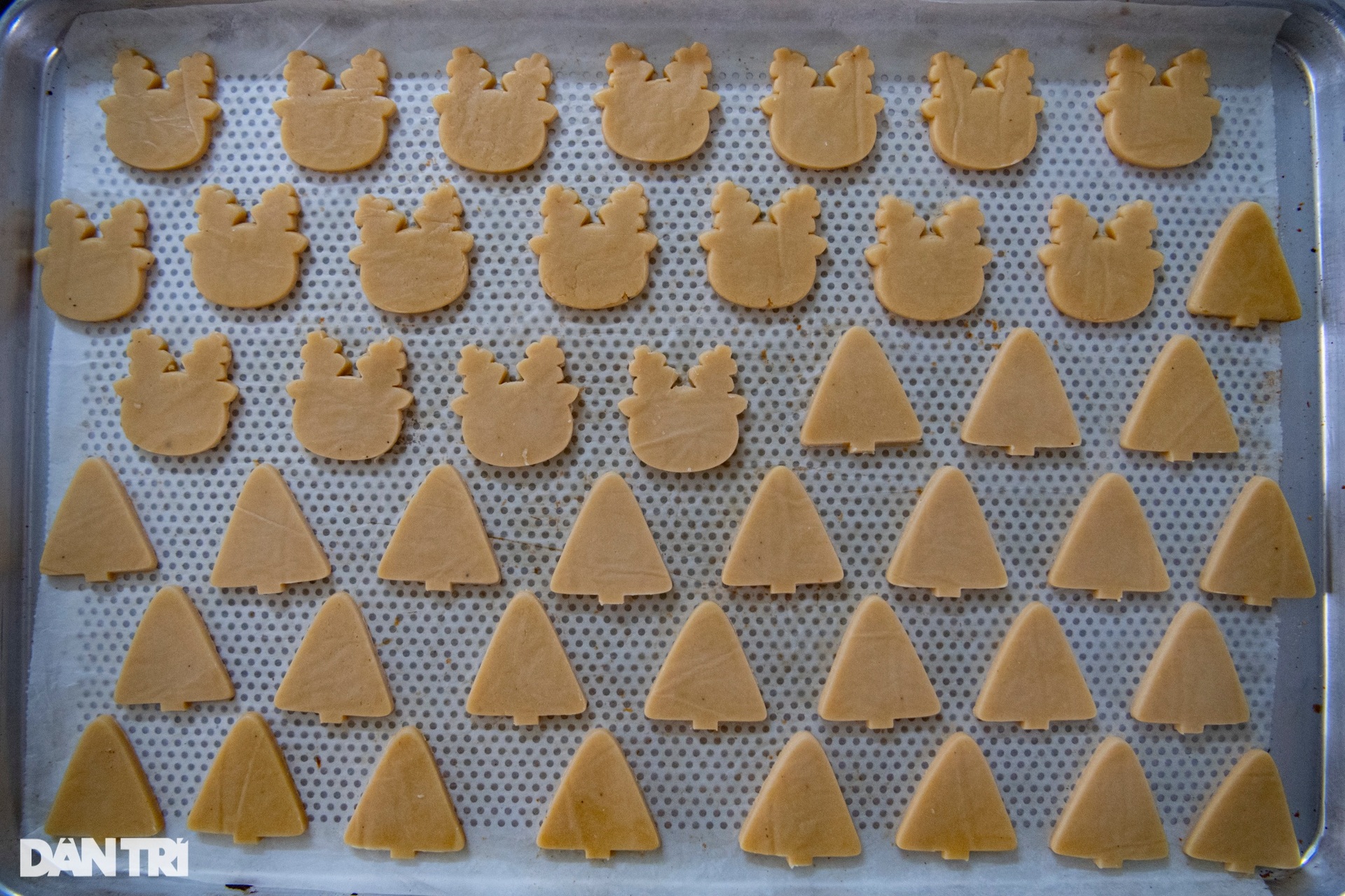Thiếu nữ 9x làm bánh Giáng sinh, doanh thu tiền tỷ mỗi mùa Noel - 5 Thiếu nữ 9x làm bánh Giáng sinh, doanh thu tiền tỷ mỗi mùa Noel - 5
