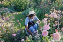 Bán nhà thành phố, vợ chồng về quê biến đất hoang thành vườn ngập hoa lá