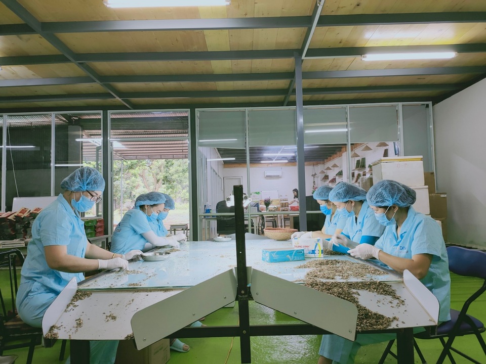 Công ty Rồng Nhỏ Kim Tiểu Long hướng tới thương hiệu uy tín, sản phẩm chất lượng - 1 Công ty Rồng Nhỏ Kim Tiểu Long hướng tới thương hiệu uy tín, sản phẩm chất lượng - 1