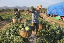 Rà soát các nhóm đối tượng được cấp kinh phí hỗ trợ do dịch Covid-19