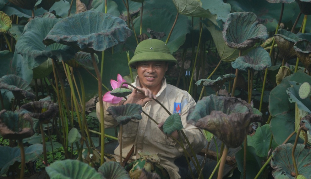 Biến đầm trũng thành mô hình kết hợp, thu hàng trăm triệu mỗi năm - 4 Biến đầm trũng thành mô hình kết hợp, thu hàng trăm triệu mỗi năm - 4