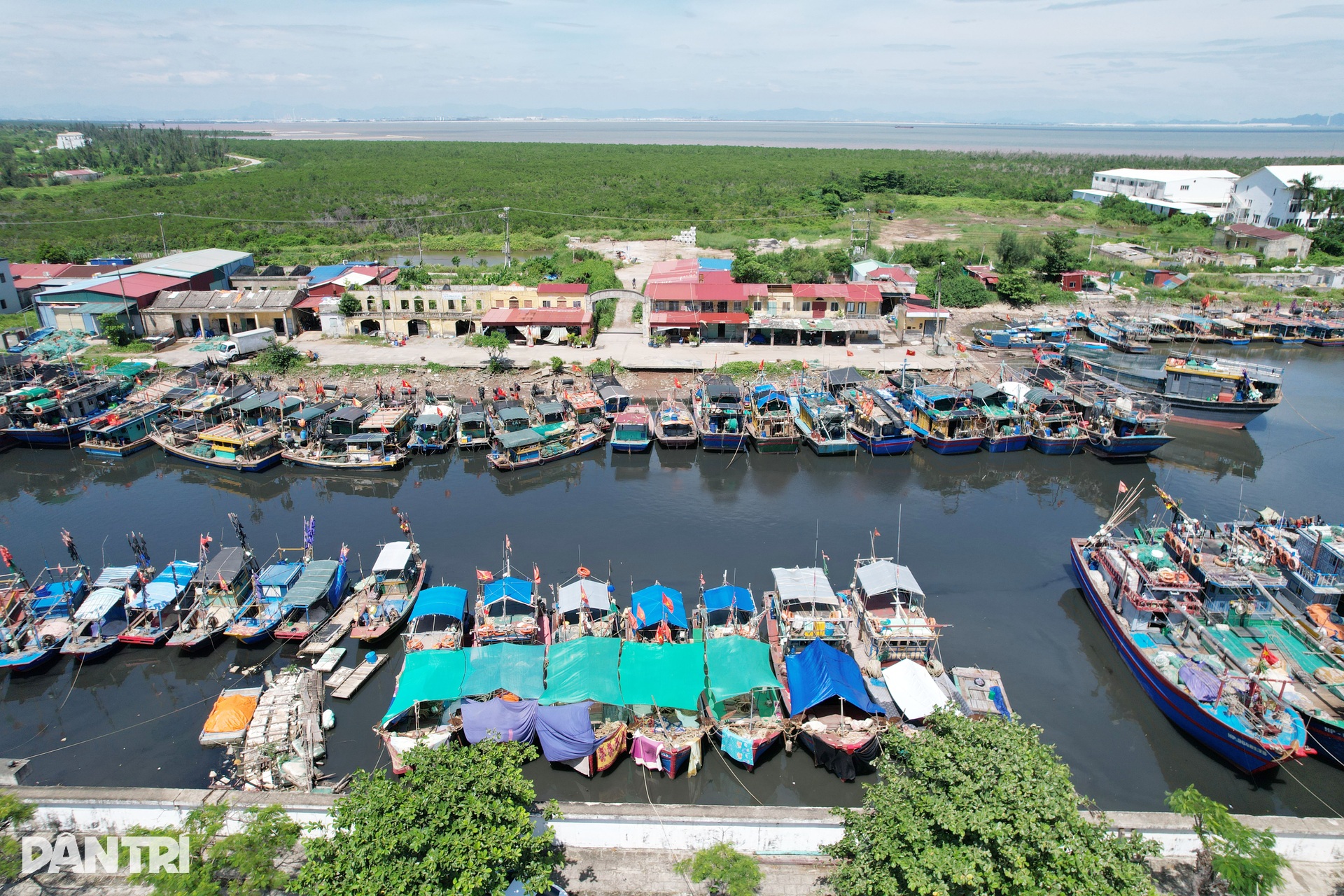 Ngư dân đưa tàu vào nơi tránh trú, theo dõi bão Ragasa qua điện thoại - 1 Ngư dân đưa tàu vào nơi tránh trú, theo dõi bão Ragasa qua điện thoại - 1