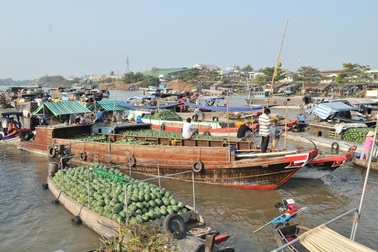 Dưa hấu dội chợ, ngồn ngộn ở chợ nổi Cái Răng