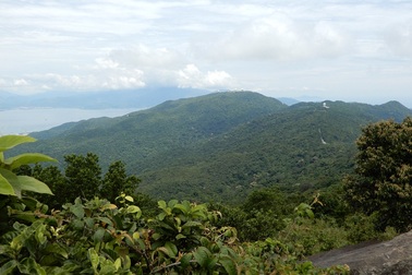 Hai nguyên Chủ tịch Đà Nẵng cùng kiến nghị bảo vệ Sơn Trà