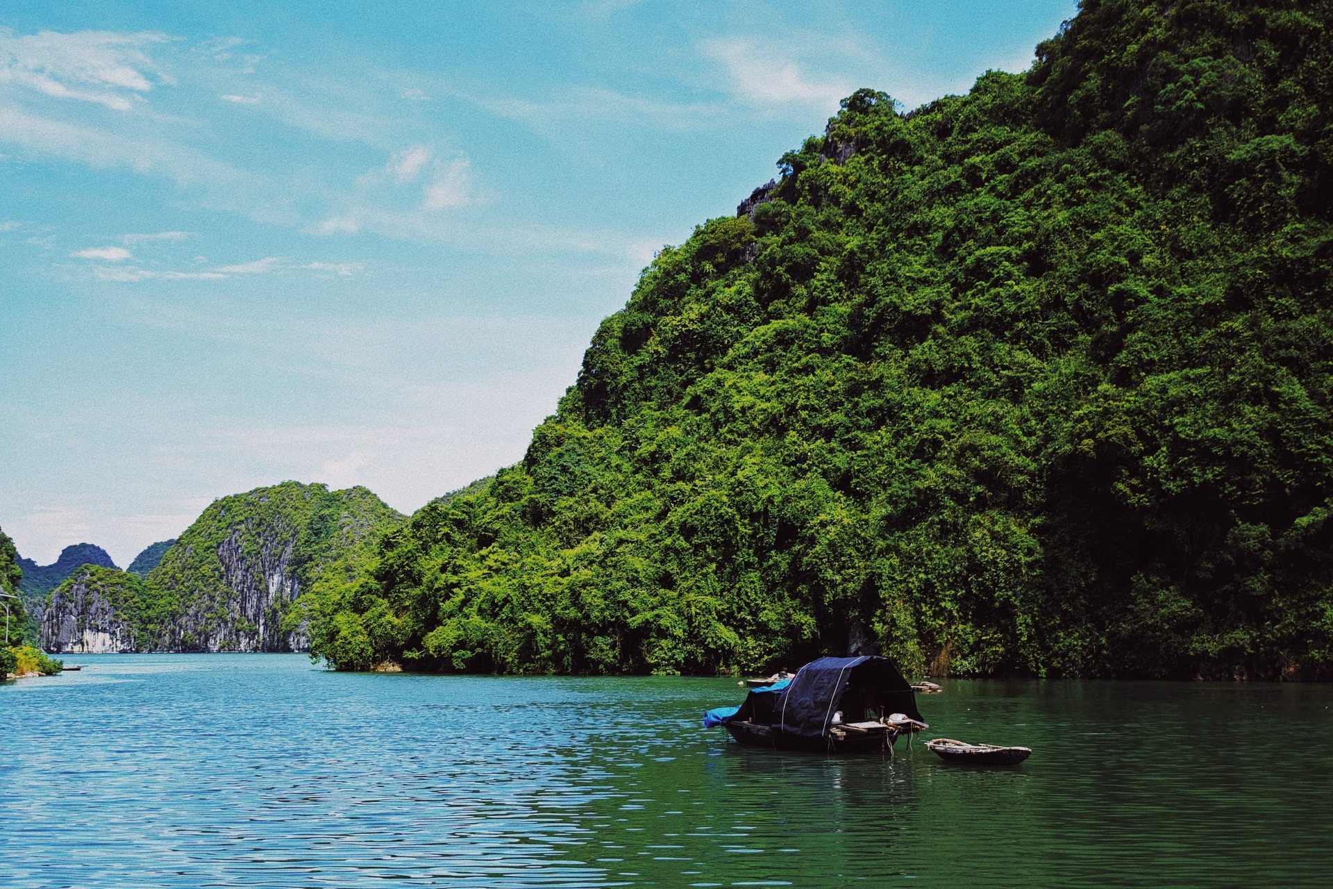 Cung đường trekking dài 9km vào rừng nguyên sinh đẹp bình yên ở Hải Phòng - 10