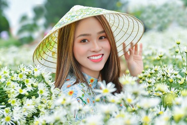 Nữ sinh 2K khoe sắc trên cánh đồng cúc họa mi Hà Nội