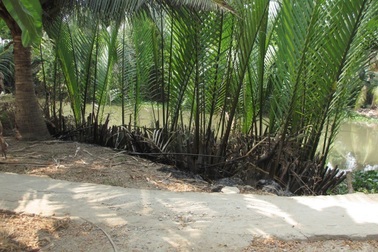 Bắt người anh dìm nước chết em trai sau tiệc nhậu