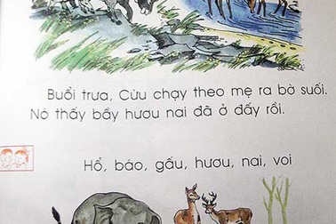 Nhiều bất ổn trong sách tiếng Việt lớp 1 