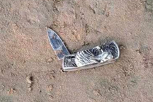 Trộm đột nhập quán cà phê ở Tiền Giang, đâm chết chủ quán