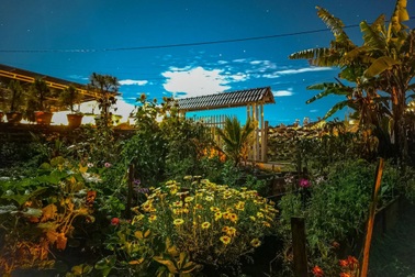 Cô gái 9X nghỉ học đại học chuyển sang làm vườn, mời khách lạ về trồng cây