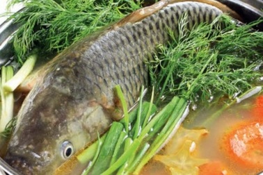 Bác sĩ nói gì nếu bạn có ý định nuốt mật cá trắm chữa bệnh?