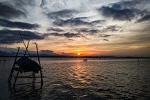 Mừng cột mốc 1,2 triệu máy Vsmart, Vfan khoe ảnh đẹp khắp mọi miền Tổ quốc